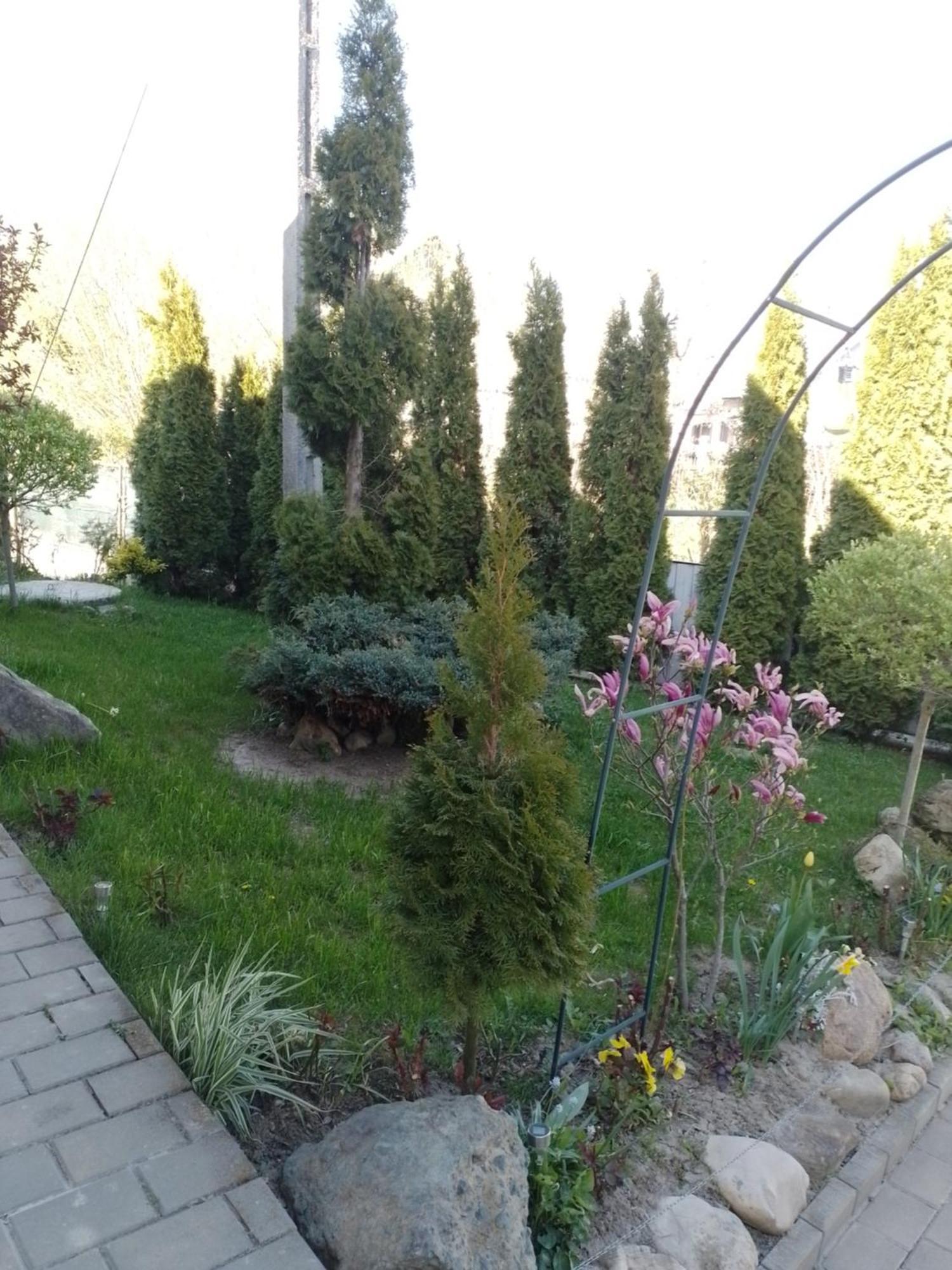 Casa Mamei Suceava Cameră foto
