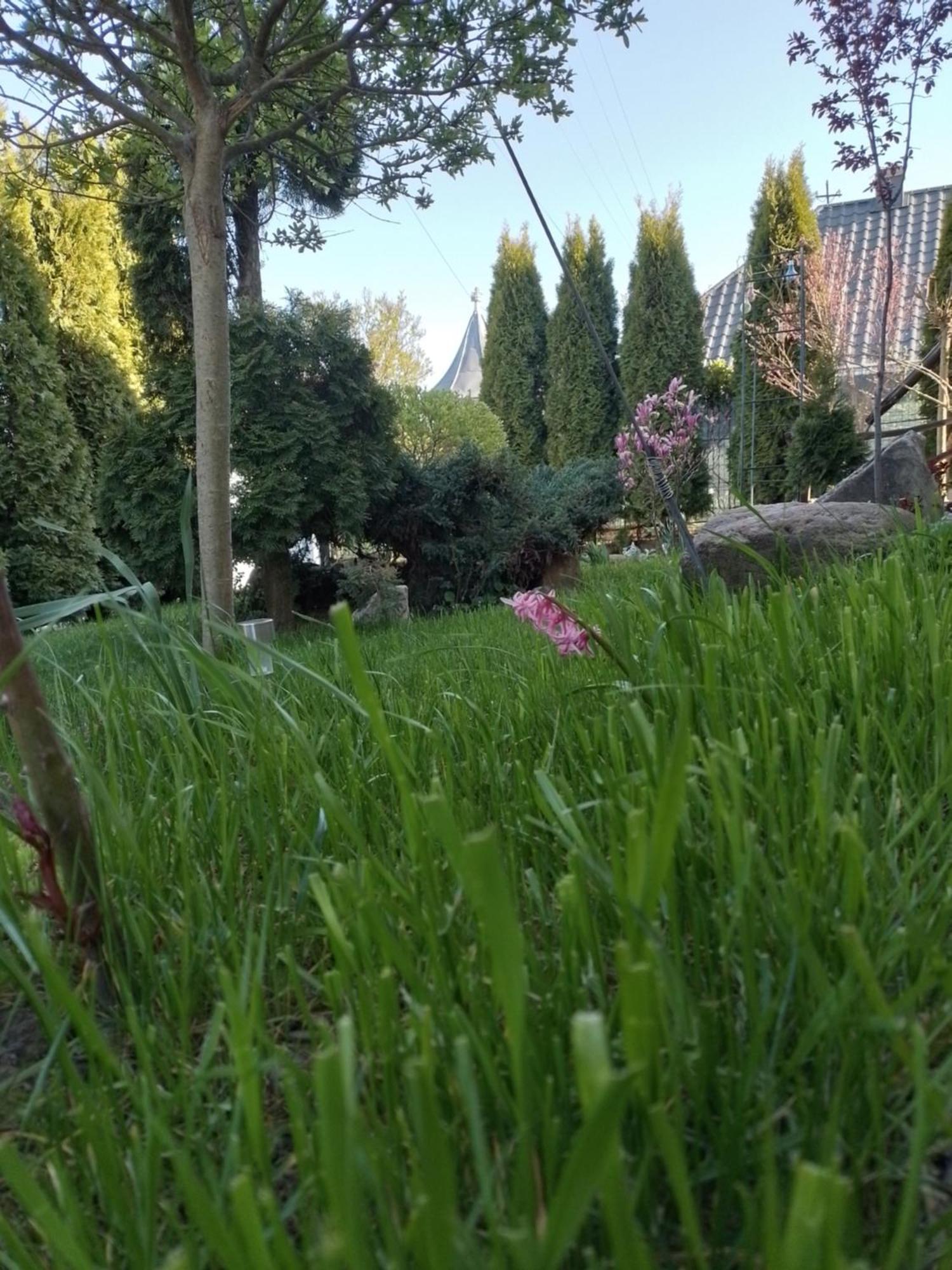 Casa Mamei Suceava Cameră foto